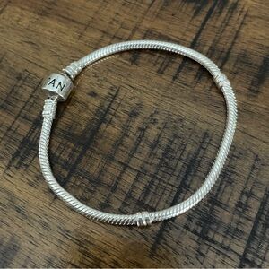 Pandora Charm Bracelet